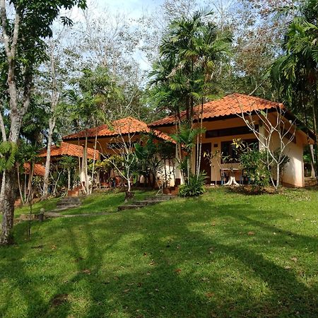 Koh Mook Rubber Tree Bungalows Exteriör bild