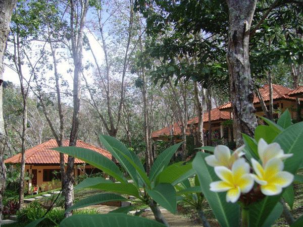 Koh Mook Rubber Tree Bungalows Exteriör bild